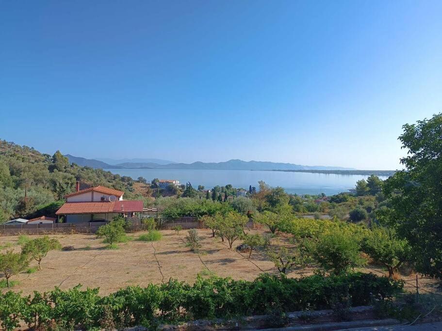 ολόκληρος όροφος αγροτική οικία