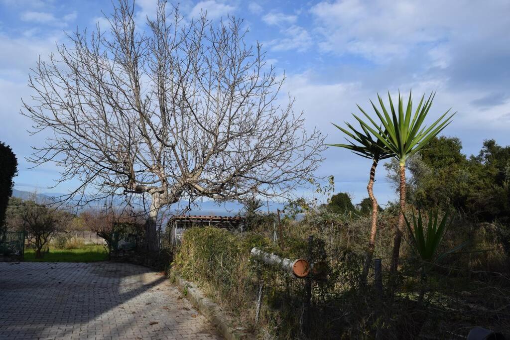 Apartment ολόκληρος όροφος αγροτική οικία