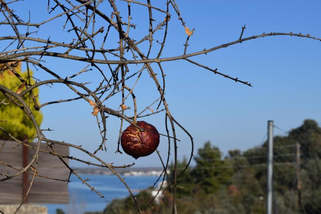 ολόκληρος όροφος αγροτική οικία Apartment *