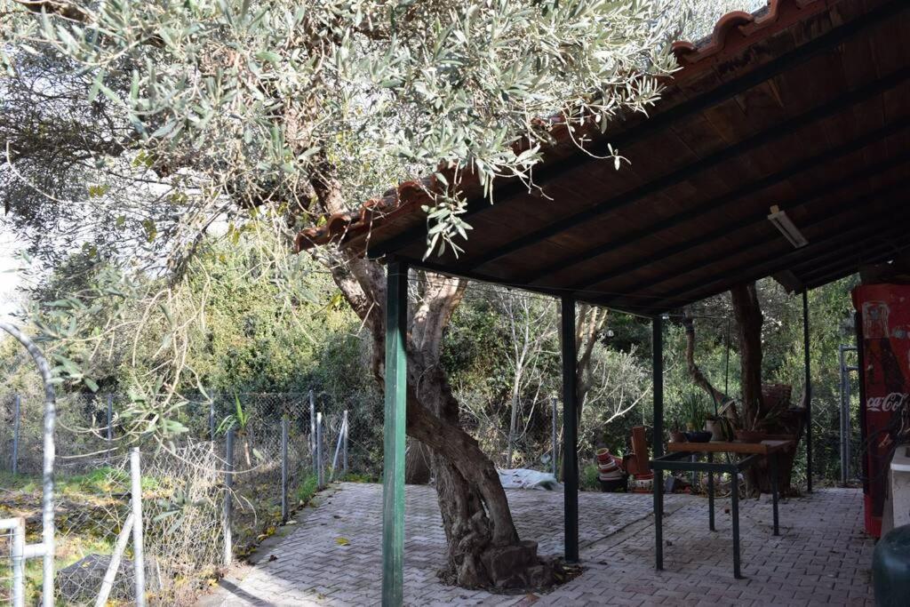 Apartment ολόκληρος όροφος αγροτική οικία